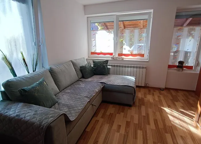 Apartma Ferida דירה *